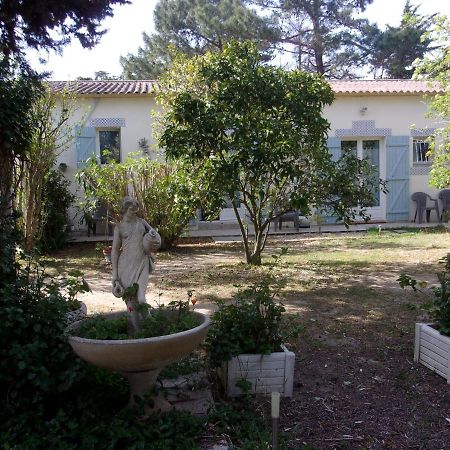 Mas Des Pins Bed & Breakfast Saint-Cyprien  Dış mekan fotoğraf