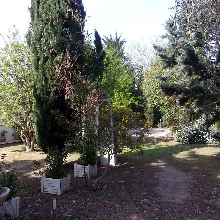 Mas Des Pins Bed & Breakfast Saint-Cyprien  Dış mekan fotoğraf