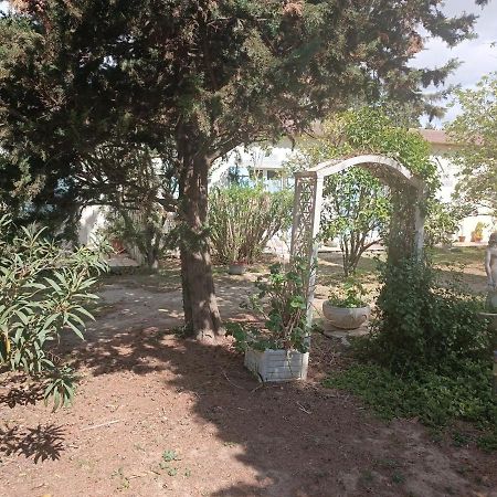 Mas Des Pins Bed & Breakfast Saint-Cyprien  Dış mekan fotoğraf