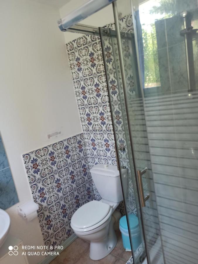 Mas Des Pins Bed & Breakfast Saint-Cyprien  Dış mekan fotoğraf