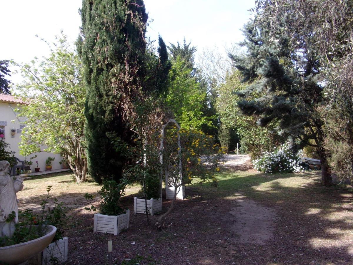 Mas Des Pins Bed & Breakfast Saint-Cyprien  Dış mekan fotoğraf