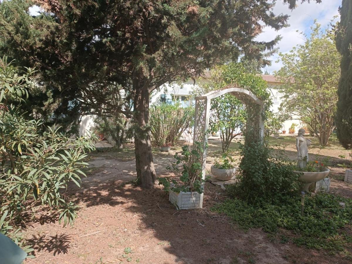 Mas Des Pins Bed & Breakfast Saint-Cyprien  Dış mekan fotoğraf