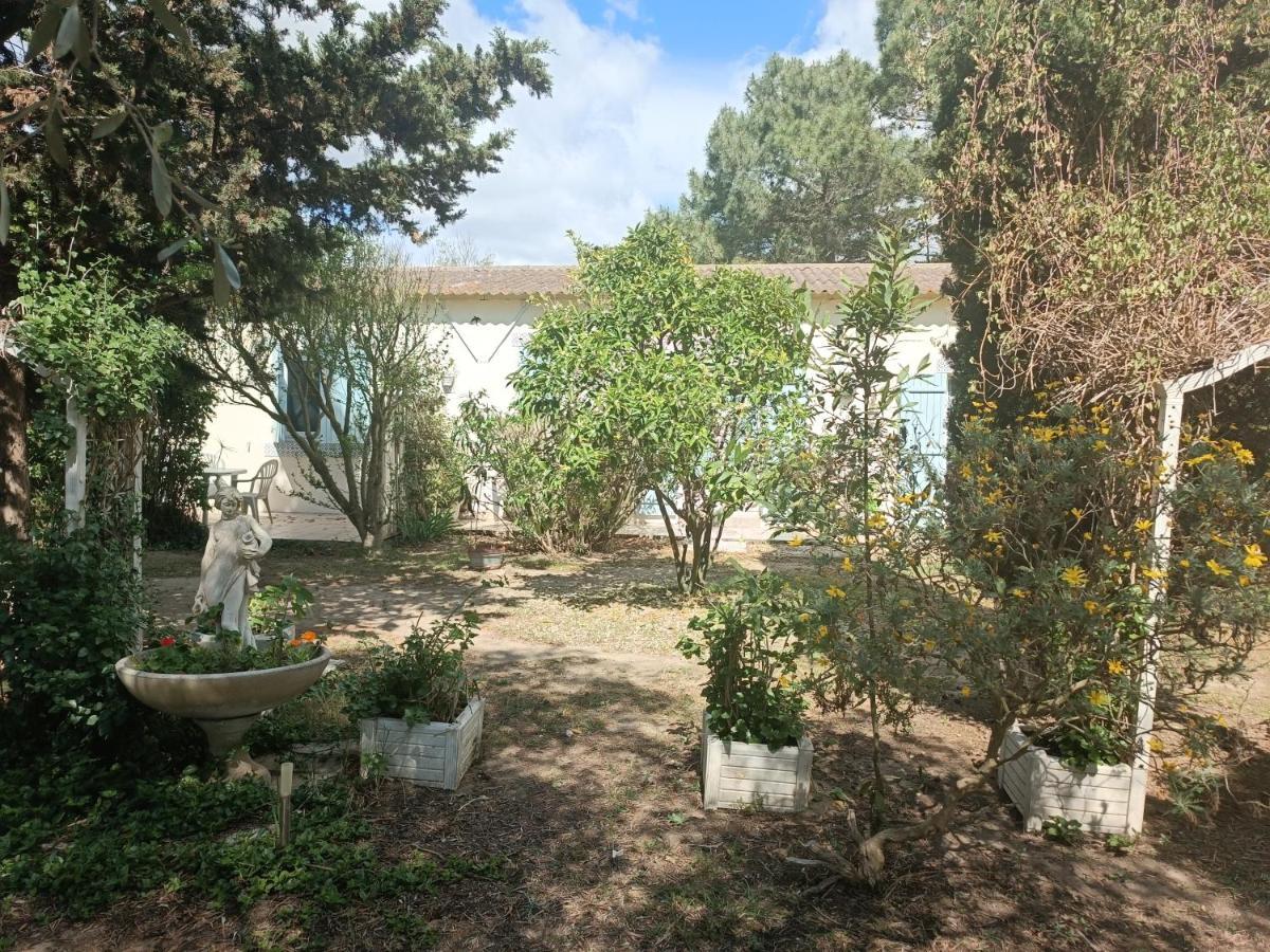 Mas Des Pins Bed & Breakfast Saint-Cyprien  Dış mekan fotoğraf